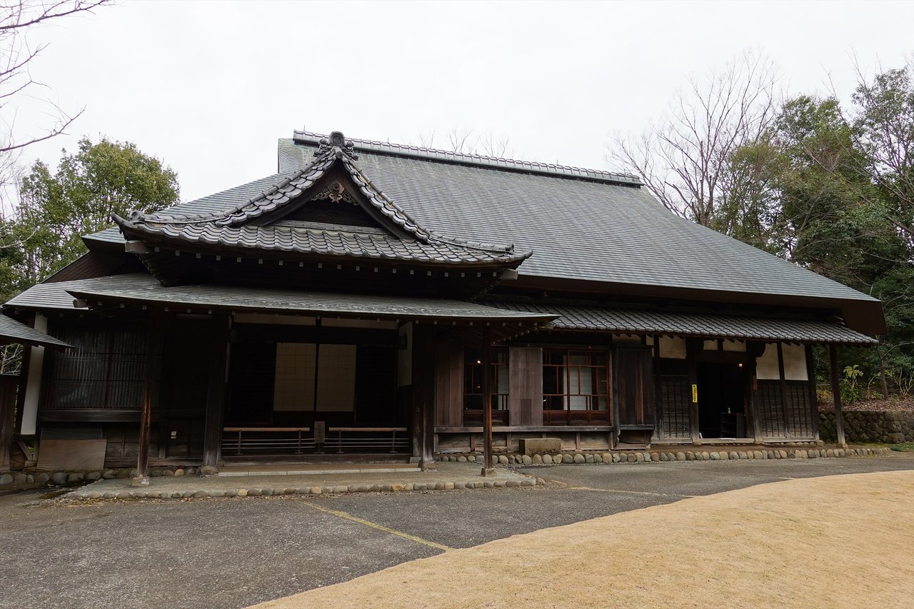 🌳 타마 중앙공원 (타마추오코엔) 이미지 4